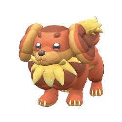 convergence smogon|dachsbun smogon.